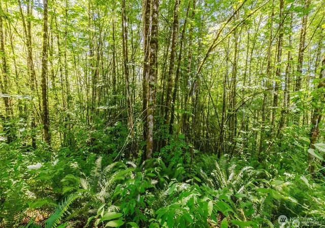 Photo 3 of Land for sale at 11 Lot Cassie Pl Nw, Poulsbo, WA 98370 | MLS# NWM2569576 | Listing updated on 2026-09-23