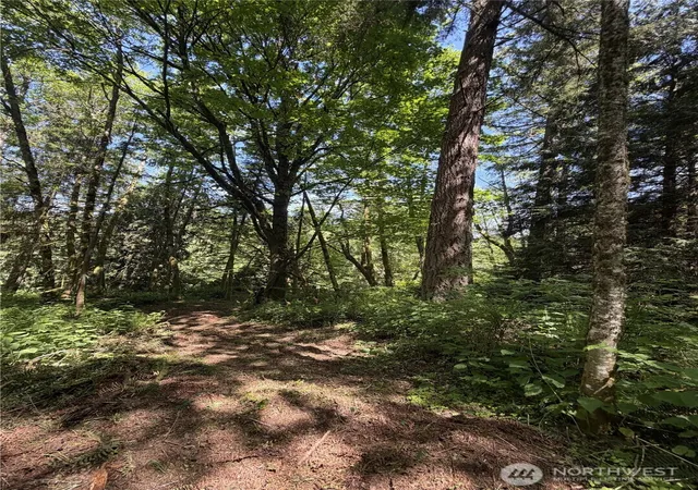 Photo 4 of Land for sale at 0 Squalicum Mountain Rd, Bellingham, WA 98226 | MLS# NWM2569697 | Listing updated on 2026-09-23