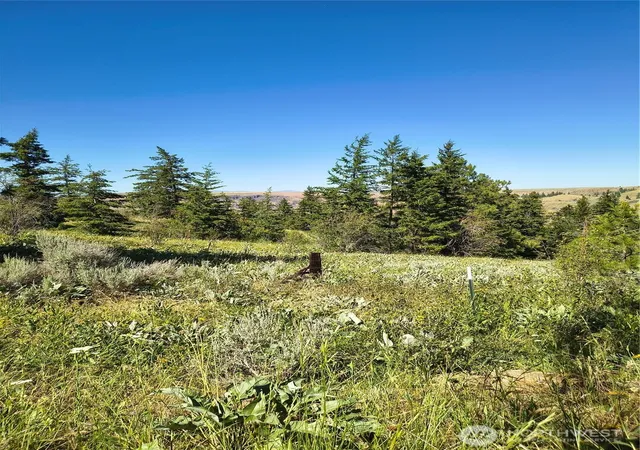 Photo 3 of Land for sale at 0 Unassigned, East Wenatchee, WA 98802 | MLS# NWM2569744 | Listing updated on 2026-09-23
