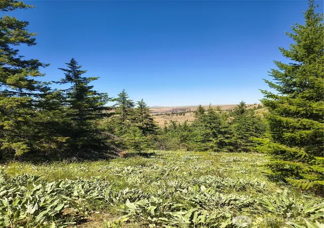 Photo 4 of Land for sale at 0 Unassigned, East Wenatchee, WA 98802 | MLS# NWM2569744 | Listing updated on 2026-09-23