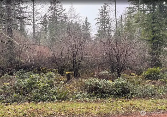 Photo 1 of Land for sale at 10618 Tahoma Dr, Anderson Island, WA 98303 | MLS# NWM2569776 | Listing updated on 2026-09-23