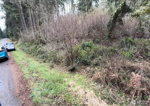 Photo 3 of Land for sale at 10618 Tahoma Dr, Anderson Island, WA 98303 | MLS# NWM2569776 | Listing updated on 2026-09-23