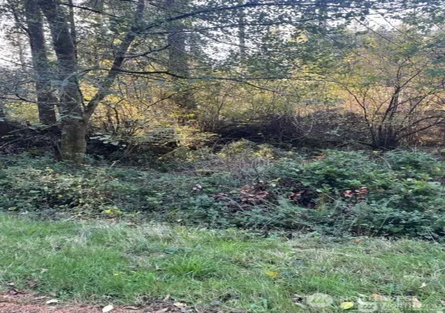 Photo 3 of Land for sale at 10618 Tahoma Dr, Anderson Island, WA 98303 | MLS# NWM2569776 | Listing updated on 2026-09-23