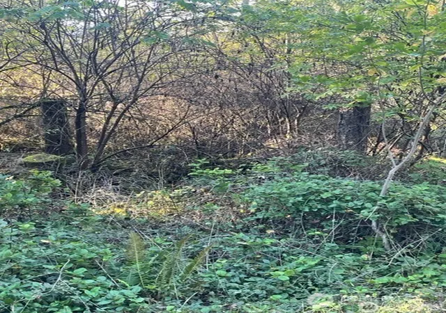 Photo 4 of Land for sale at 10618 Tahoma Dr, Anderson Island, WA 98303 | MLS# NWM2569776 | Listing updated on 2026-09-23