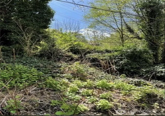 Photo 3 of Land for sale at 4700 S 109th Street, Tukwila, WA 98178 | MLS# NWM2569786 | Listing updated on 2026-09-23