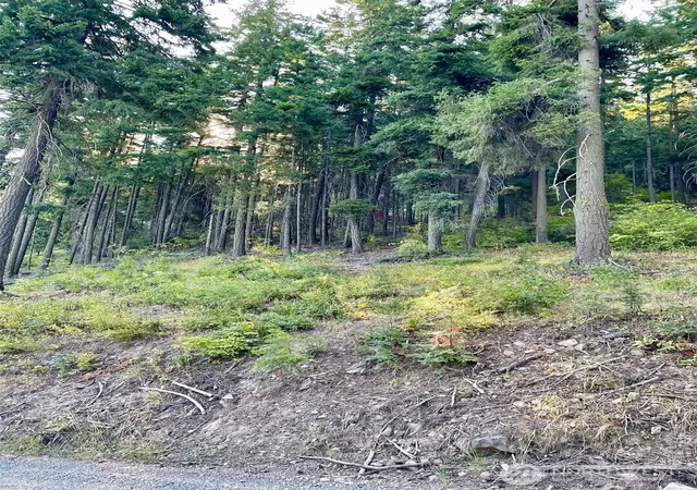 Photo 1 of Land for sale at 1290 Rodeo Rd, Cle Elum, WA 98922 | MLS# NWM2569817 | Listing updated on 2026-09-23