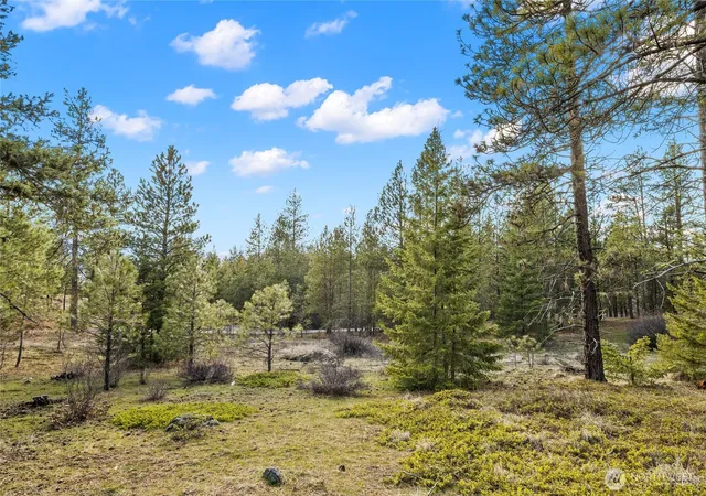 Photo 4 of Land for sale at 672 Forest Ridge Dr, Cle Elum, WA 98922 | MLS# NWM2569839 | Listing updated on 2026-09-23