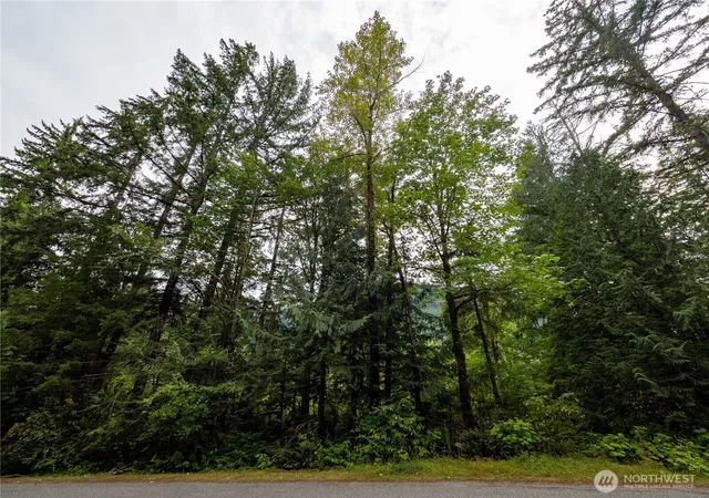 Photo 3 of Land for sale at 7449 Miller Way, Deming, WA 98244 | MLS# NWM2569915 | Listing updated on 2026-09-23