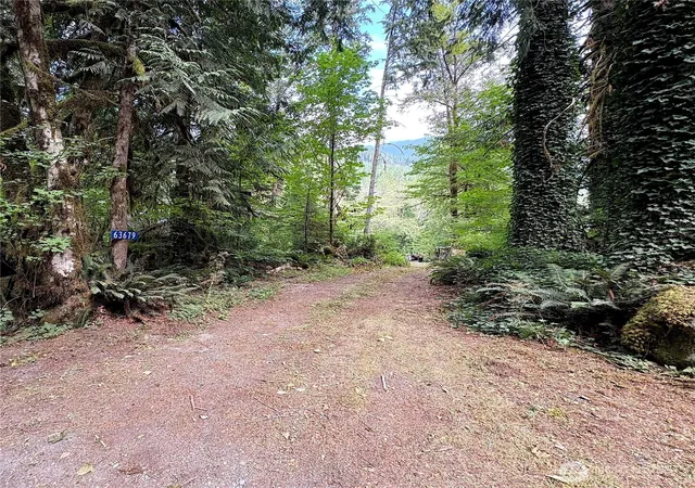 Photo 3 of Land for sale at 63679 Marblemount Way, Marblemount, WA 98267 | MLS# NWM2570239 | Listing updated on 2026-09-21