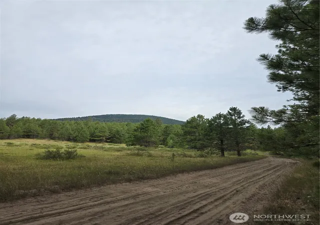 Photo 2 of Land for sale at 0 Tbd Turner Lake Rd, Tonasket, WA 98855 | MLS# NWM2570461 | Listing updated on 2026-09-23