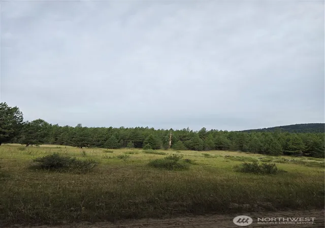 Photo 3 of Land for sale at 0 Tbd Turner Lake Rd, Tonasket, WA 98855 | MLS# NWM2570461 | Listing updated on 2026-09-23
