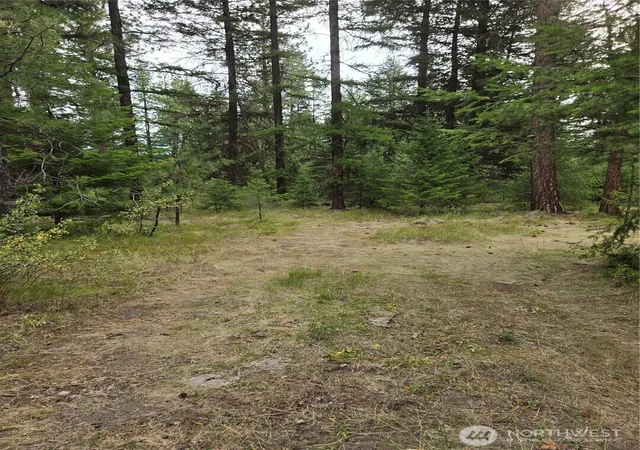 Photo 3 of Land for sale at 0 Tbd Turner Lake Rd, Tonasket, WA 98855 | MLS# NWM2570461 | Listing updated on 2026-09-23