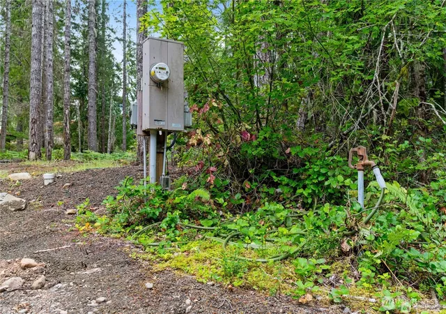 Photo 3 of Land for sale at 1291 N Potlatch Dr, Hoodsport, WA 98548 | MLS# NWM2570542 | Listing updated on 2026-09-23