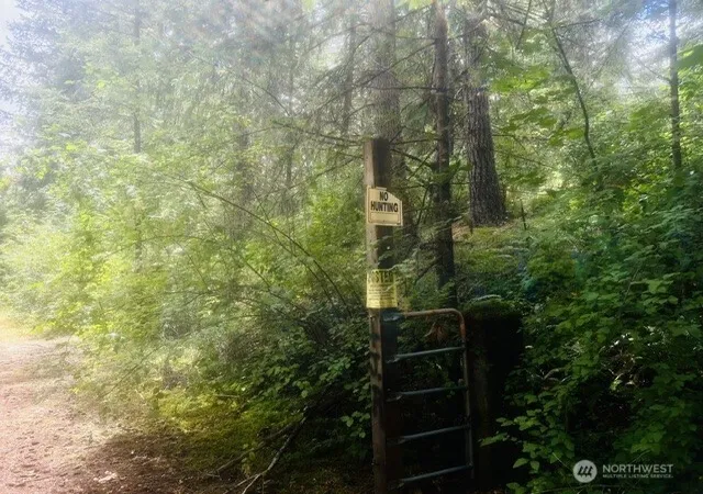Land for sale at 33414 68th Avenue S, Roy, WA 98580 | MLS# NWM2570556