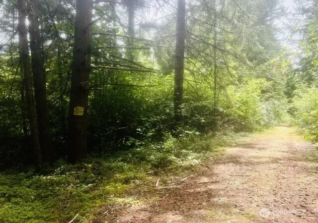 Photo 2 of Land for sale at 33414 68th Avenue S, Roy, WA 98580 | MLS# NWM2570556 | Listing updated on 2026-09-20