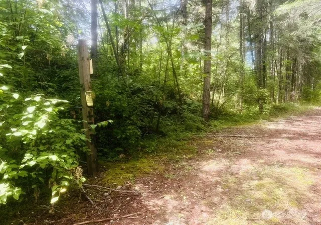Photo 3 of Land for sale at 33414 68th Avenue S, Roy, WA 98580 | MLS# NWM2570556 | Listing updated on 2026-09-20