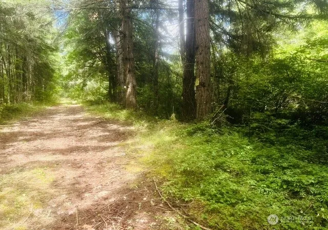 Photo 3 of Land for sale at 33414 68th Avenue S, Roy, WA 98580 | MLS# NWM2570556 | Listing updated on 2026-09-20