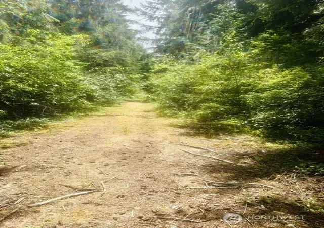 Photo 4 of Land for sale at 33414 68th Avenue S, Roy, WA 98580 | MLS# NWM2570556 | Listing updated on 2026-09-20