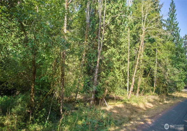 Photo 1 of Land for sale at 10114 Selma Cir, Anderson Island, WA 98303 | MLS# NWM2570593 | Listing updated on 2026-09-23