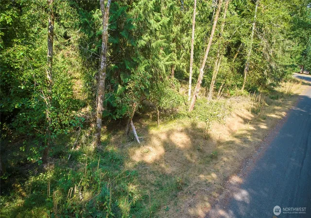Photo 2 of Land for sale at 10114 Selma Cir, Anderson Island, WA 98303 | MLS# NWM2570593 | Listing updated on 2026-09-23