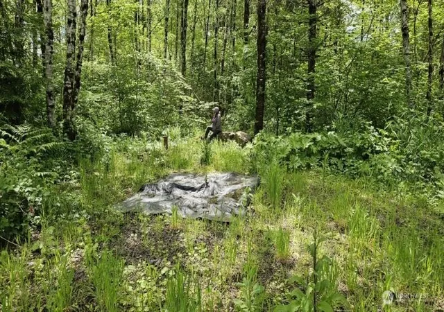Photo 1 of Land for sale at 136 Peppermill Dr, Kelso, WA 98626 | MLS# NWM2570601 | Listing updated on 2026-09-23