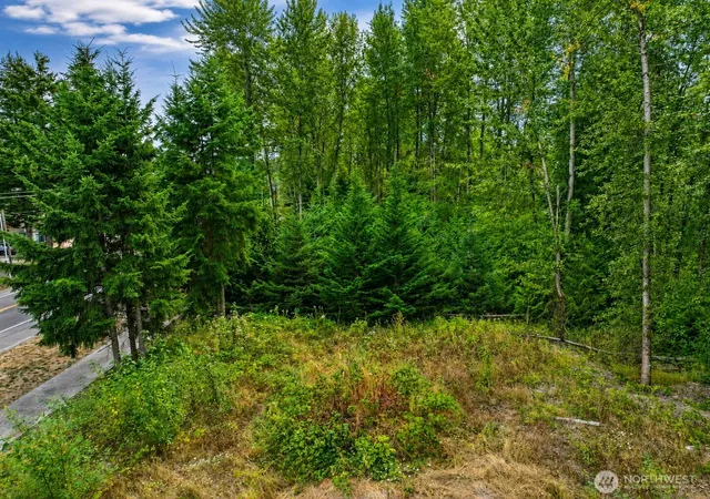 Photo 3 of Land for sale at 24225 132Nd Ave Se, Kent, WA 98042 | MLS# NWM2570646 | Listing updated on 2026-09-30