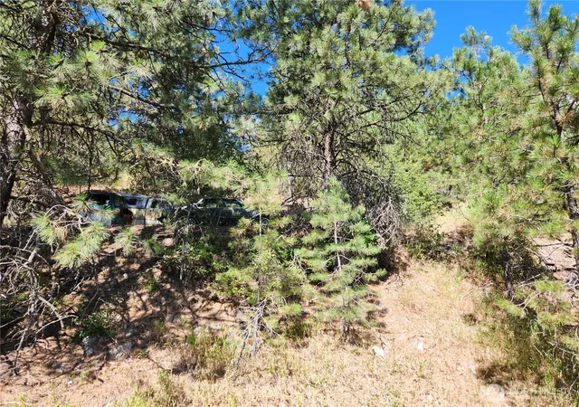 Photo 2 of Land for sale at 0 Lot 1 Klondike Rd, Republic, WA 99166 | MLS# NWM2570740 | Listing updated on 2026-09-23