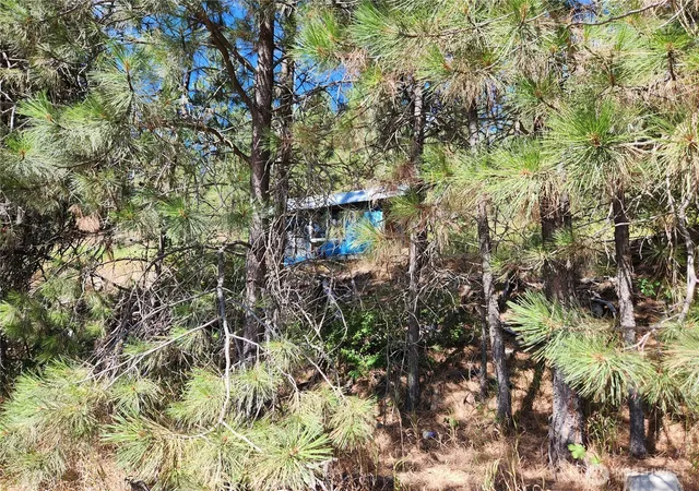 Photo 3 of Land for sale at 0 Lot 1 Klondike Rd, Republic, WA 99166 | MLS# NWM2570740 | Listing updated on 2026-09-23
