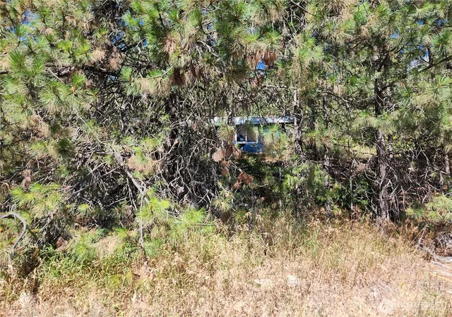 Photo 3 of Land for sale at 0 Lot 1 Klondike Rd, Republic, WA 99166 | MLS# NWM2570740 | Listing updated on 2026-09-23