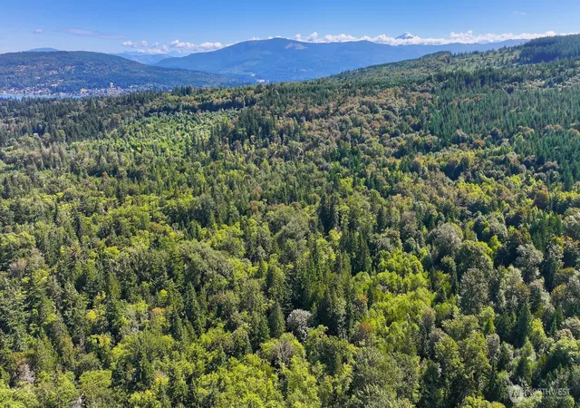 Photo 1 of Land for sale at 0 Pine St, Bellingham, WA 98225 | MLS# NWM2570750 | Listing updated on 2026-09-23