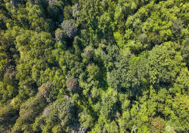 Photo 3 of Land for sale at 0 Pine St, Bellingham, WA 98225 | MLS# NWM2570750 | Listing updated on 2026-09-23