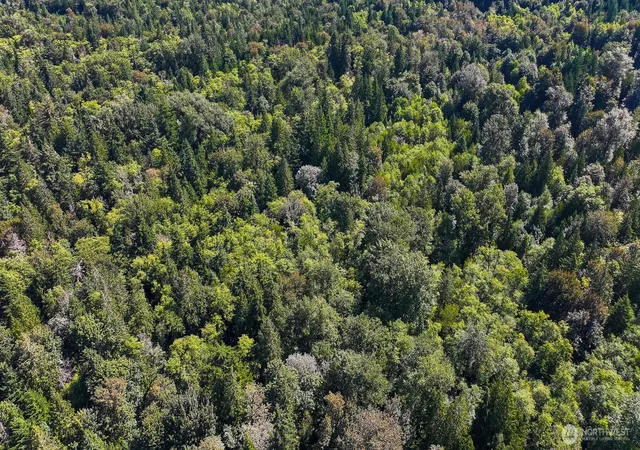 Photo 3 of Land for sale at 0 Pine St, Bellingham, WA 98225 | MLS# NWM2570750 | Listing updated on 2026-09-23