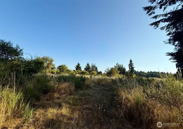Photo 4 of Land for sale at 0 Ivan St SW, Rochester, WA 98579 | MLS# NWM2570969 | Listing updated on 2026-09-23