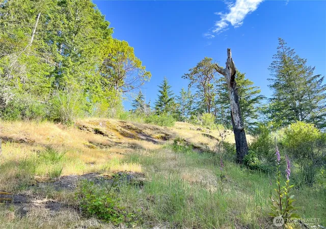 Photo 1 of Sale Pending at 311130 Us Hwy 101, Brinnon, WA 98320 | MLS# NWM2571225 | Listing updated on 2026-09-28