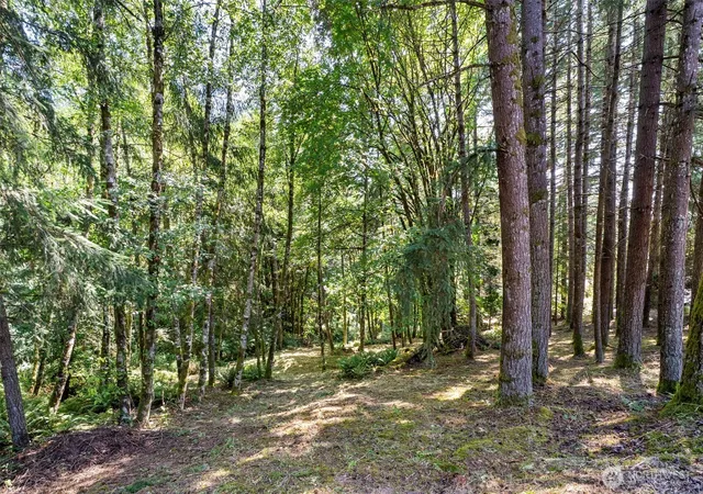 Photo 4 of Land for sale at 168 Upland Dr, Woodland, WA 98674 | MLS# NWM2571276 | Listing updated on 2026-09-25
