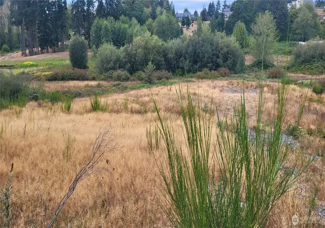 Photo 3 of Land for sale at 0 S Keyport Rd NE, Poulsbo, WA 98370 | MLS# NWM2571285 | Listing updated on 2026-09-21