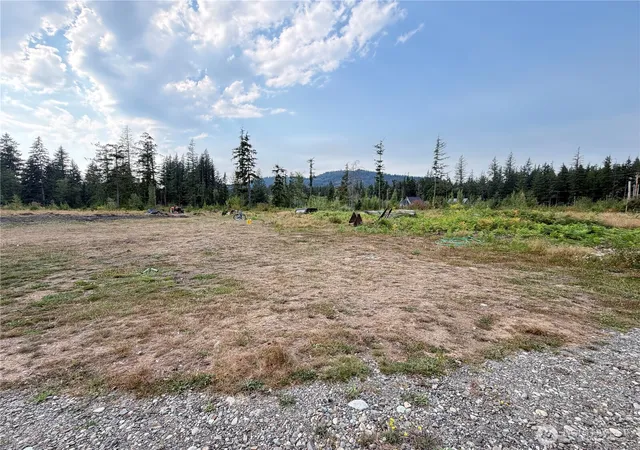 Land for sale at 6485 S Pass Rd, Maple Falls, WA 98266 | MLS# NWM2571295