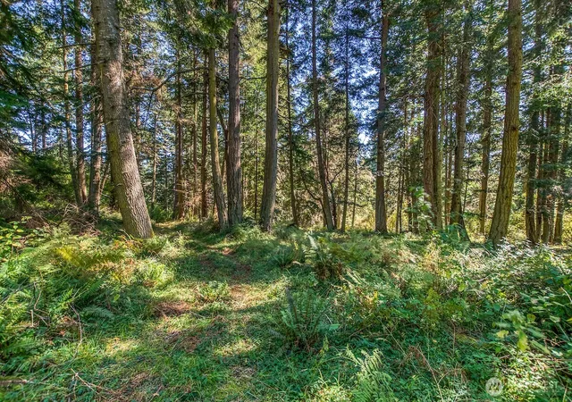 Photo 1 of Land for sale at 0 Pioneer Hl Rd, Orcas Island, WA 98245 | MLS# NWM2571396 | Listing updated on 2026-09-28