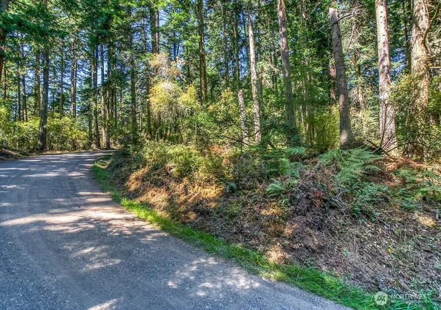 Photo 3 of Land for sale at 0 Pioneer Hl Rd, Orcas Island, WA 98245 | MLS# NWM2571396 | Listing updated on 2026-09-28