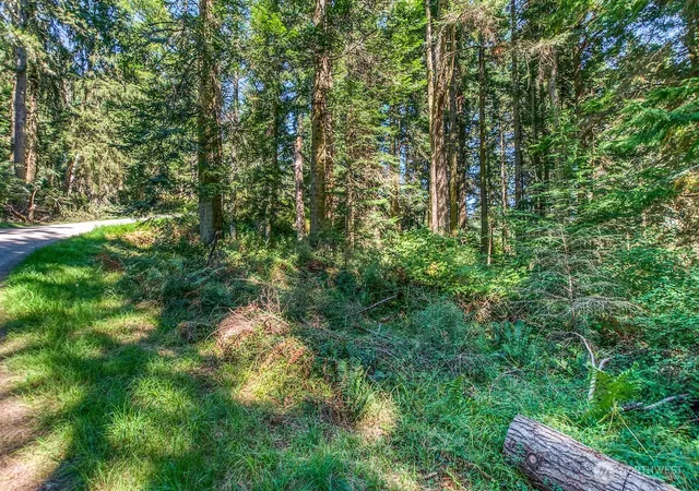Photo 4 of Land for sale at 0 Pioneer Hl Rd, Orcas Island, WA 98245 | MLS# NWM2571396 | Listing updated on 2026-09-28