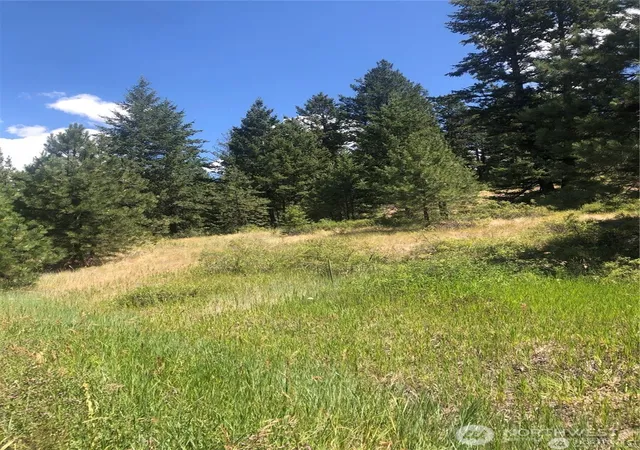 Photo 2 of Land for sale at 22 Pine Chee Rd, Oroville, WA 98844 | MLS# NWM2571601 | Listing updated on 2026-09-25