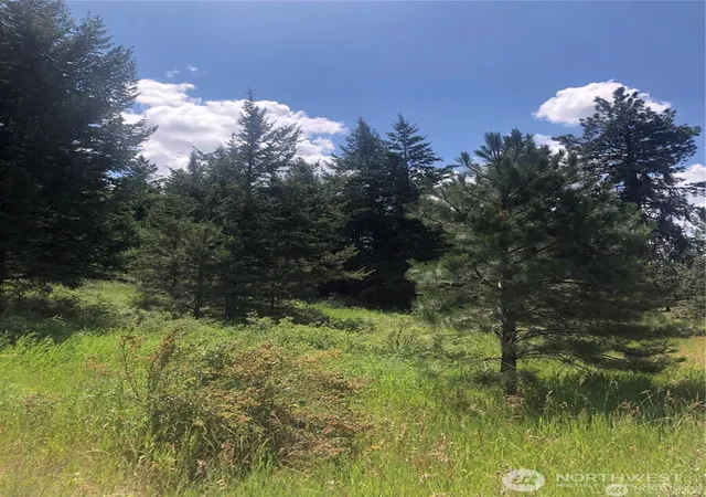 Photo 3 of Land for sale at 22 Pine Chee Rd, Oroville, WA 98844 | MLS# NWM2571601 | Listing updated on 2026-09-25