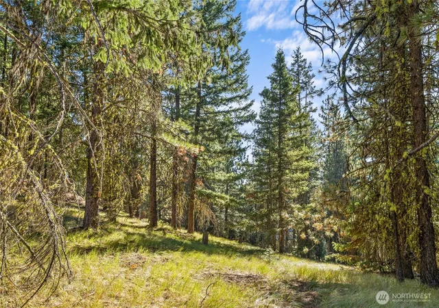 Photo 2 of Single family home for sale at 330 Eagle Rd, Cle Elum, WA 98922 | MLS# NWM2571640 | Listing updated on 2026-09-24