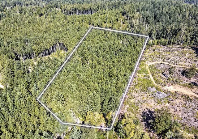 Land for sale at 0 Tahuya Valley Dr E, Tahuya, WA 98588 | MLS# NWM2571673