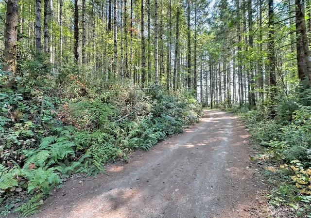 Photo 3 of Land for sale at 0 Tahuya Valley Dr E, Tahuya, WA 98588 | MLS# NWM2571673 | Listing updated on 2026-09-25