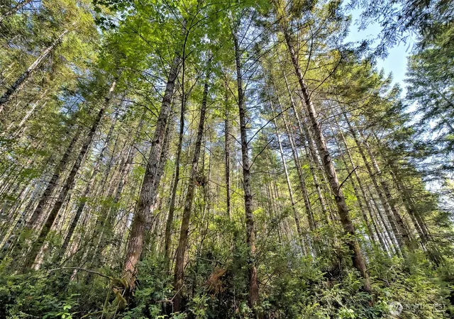 Photo 3 of Land for sale at 0 Tahuya Valley Dr E, Tahuya, WA 98588 | MLS# NWM2571673 | Listing updated on 2026-09-25