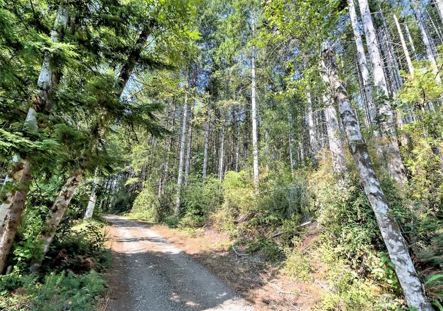 Photo 4 of Land for sale at 0 Tahuya Valley Dr E, Tahuya, WA 98588 | MLS# NWM2571673 | Listing updated on 2026-09-25