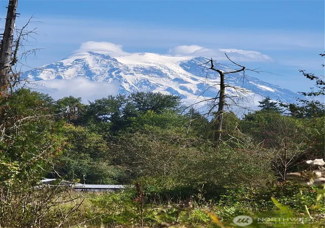 Land for sale at 31208 Lebor Devore Rd E, Eatonville, WA 98328 | MLS# NWM2571719