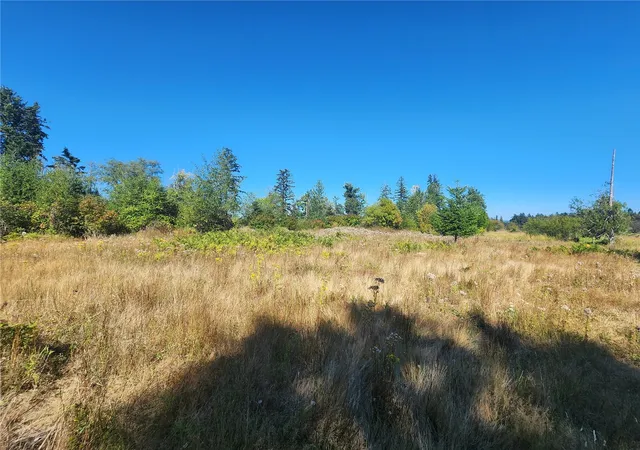 Photo 2 of Land for sale at 31208 Lebor Devore Rd E, Eatonville, WA 98328 | MLS# NWM2571719 | Listing updated on 2026-09-25