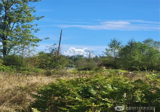 Photo 3 of Land for sale at 31208 Lebor Devore Rd E, Eatonville, WA 98328 | MLS# NWM2571719 | Listing updated on 2026-09-25